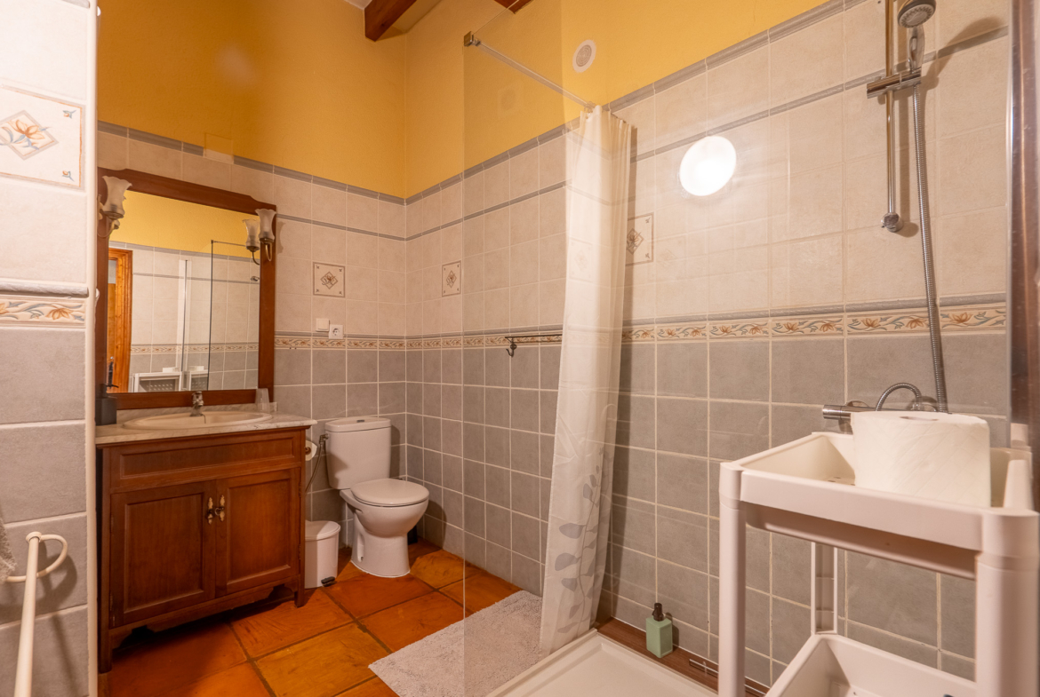 RE02-377620  commercial_premises à la vente à Sagra