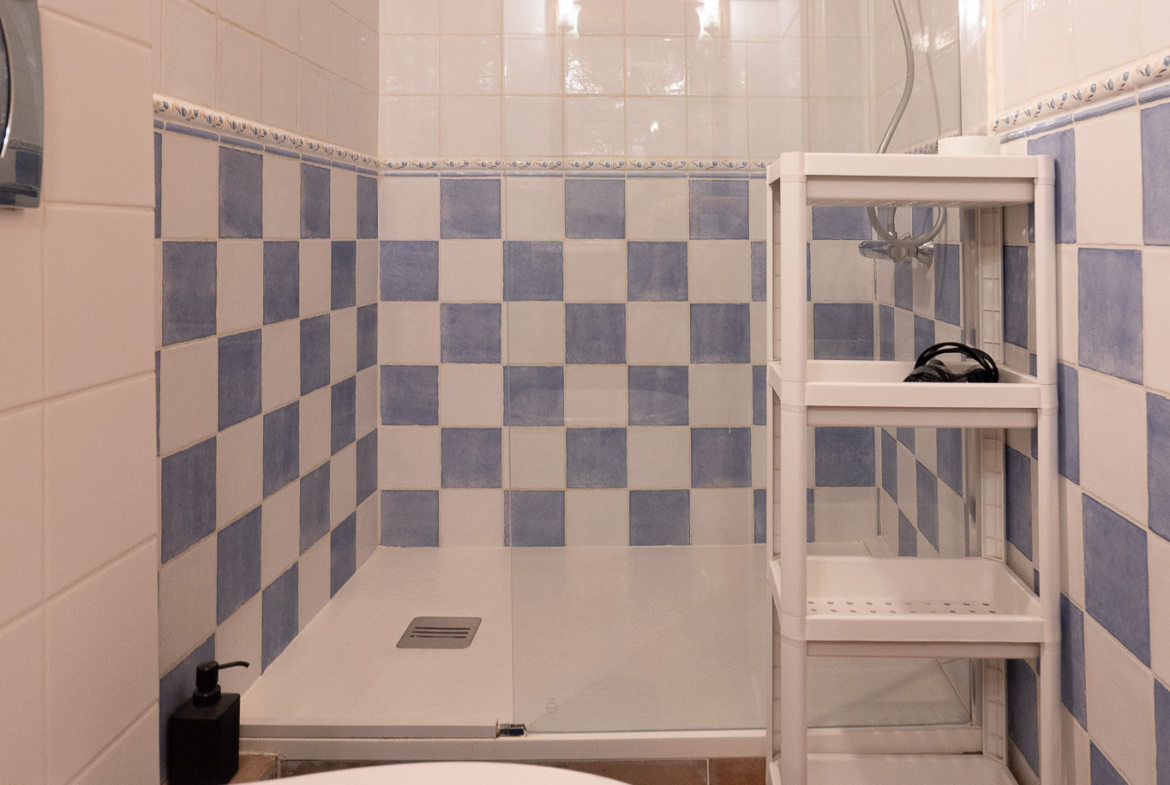 RE02-377620  commercial_premises à la vente à Sagra