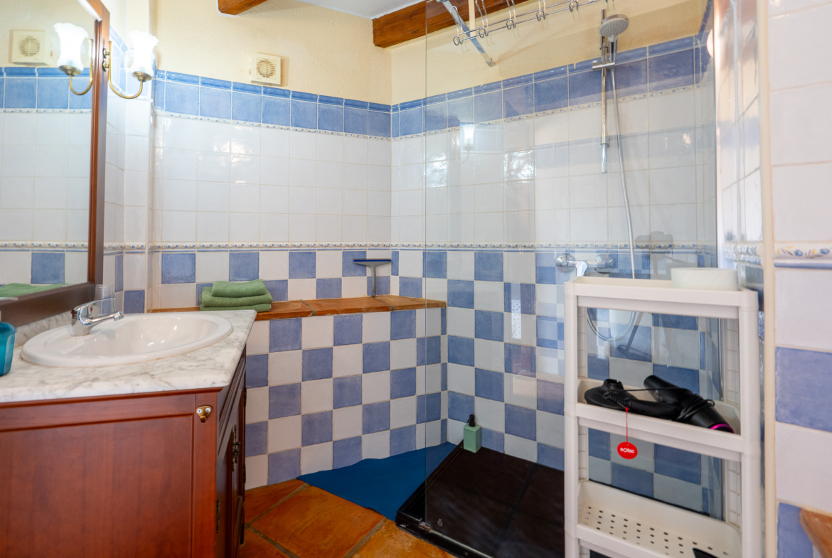 RE02-377620  commercial_premises à la vente à Sagra