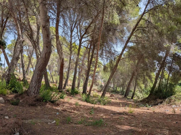 plot for sale in Moraira