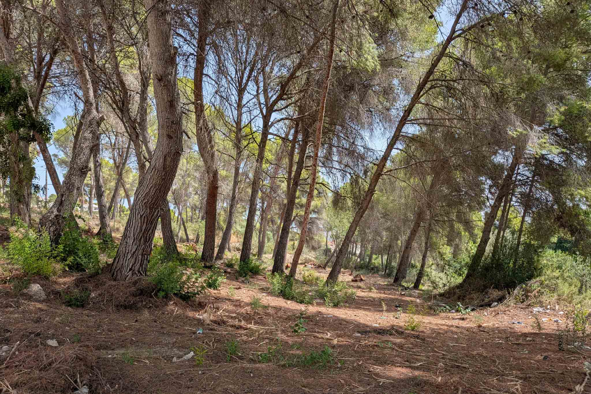 plot for sale in Moraira