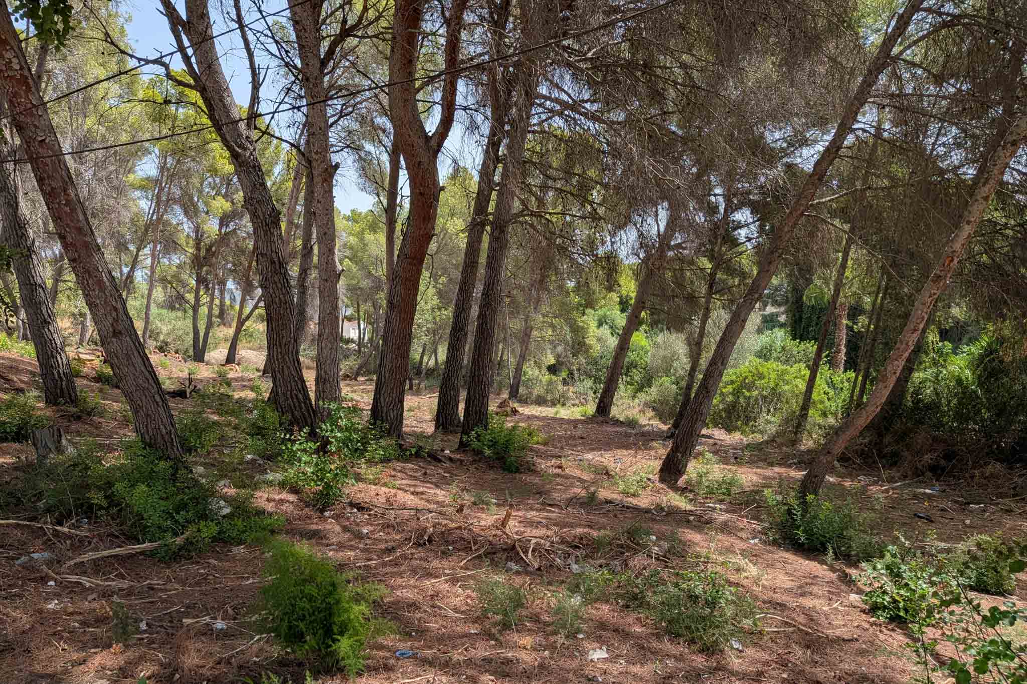 RE02-579236 plot zum verkauf in Moraira
