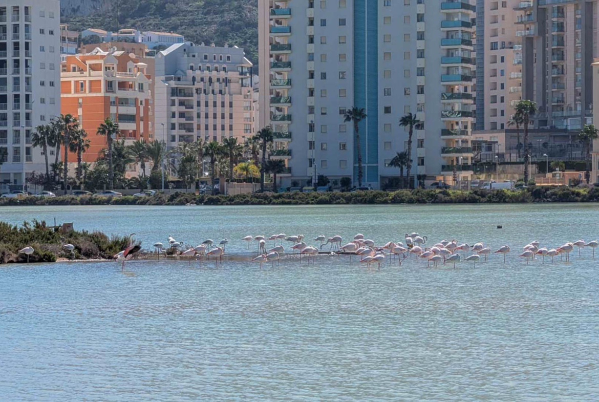 RE02-418125 villa zum verkauf in Calpe
