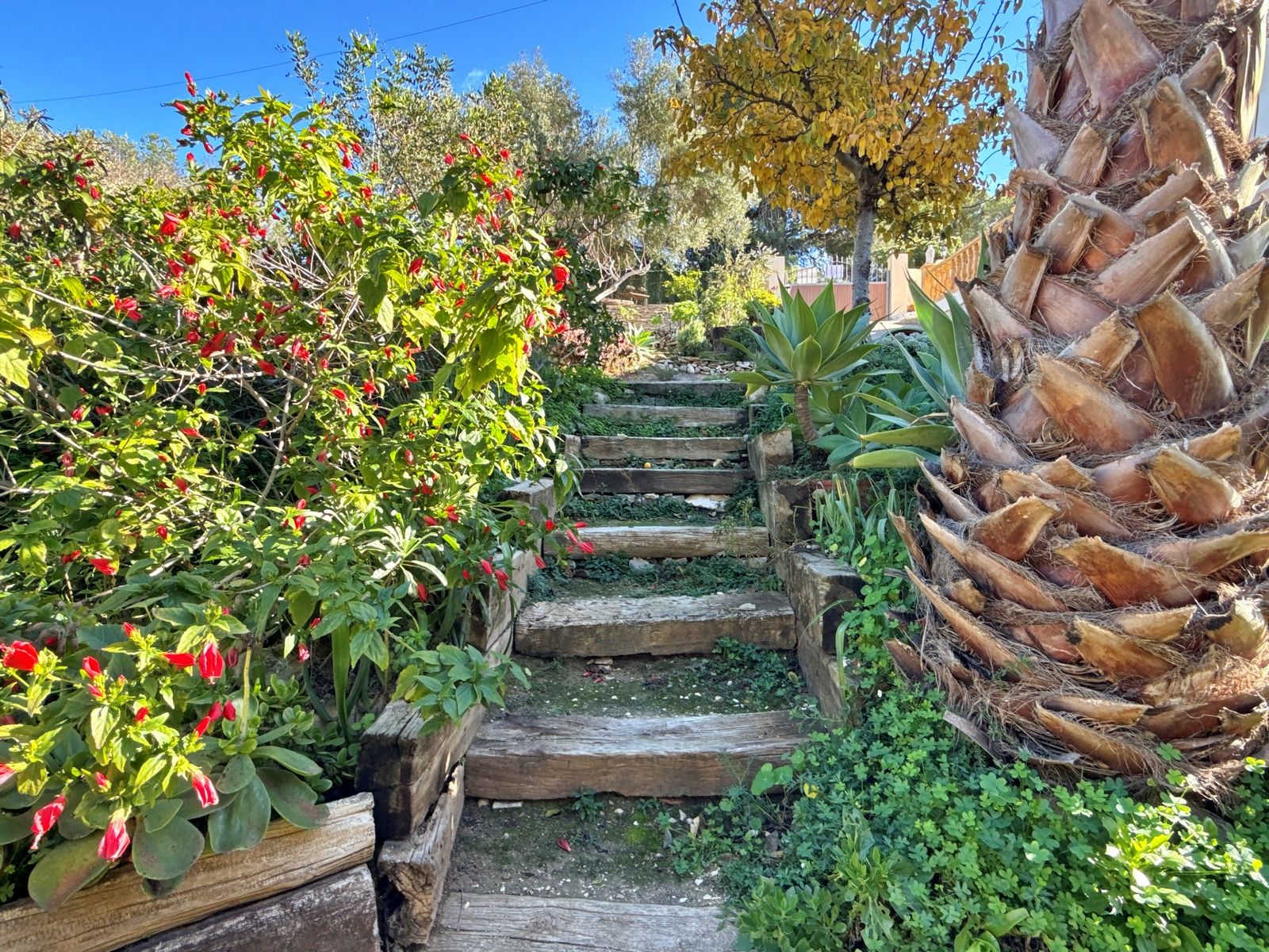 RE02-609572 villa zum verkauf in Benissa