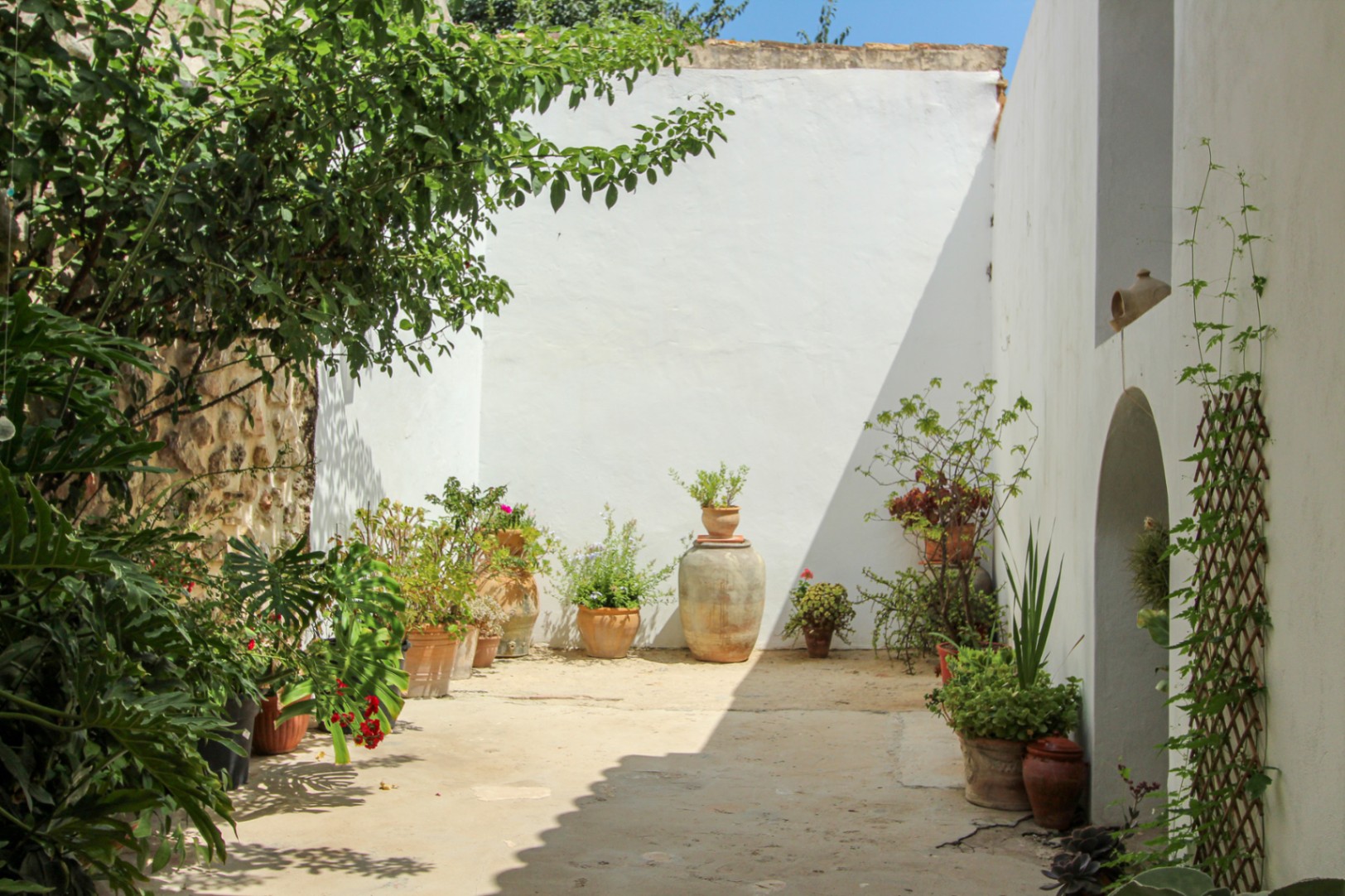 IMG_8948 RE02-312316 town_house à la vente à Jalón