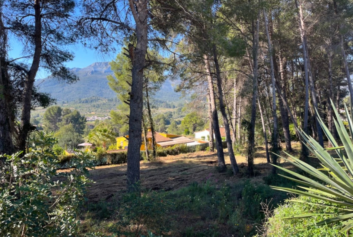RE02-472016 plot zum verkauf in Alcalalí