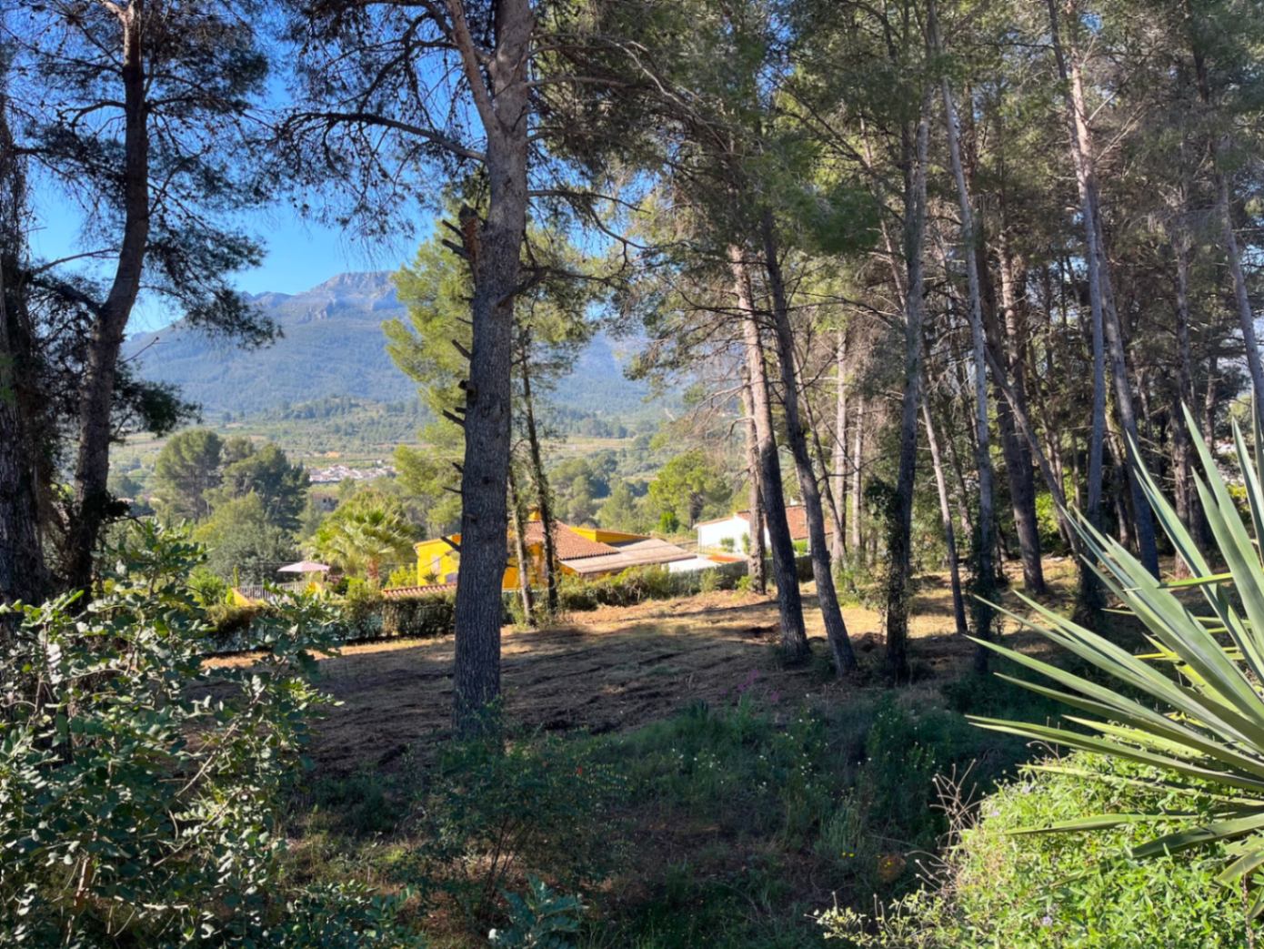 RE02-472016 plot zum verkauf in Alcalalí