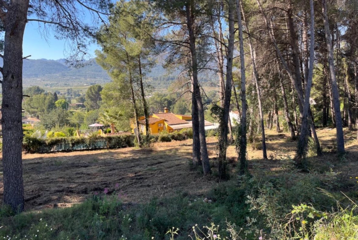 RE02-472016 plot zum verkauf in Alcalalí