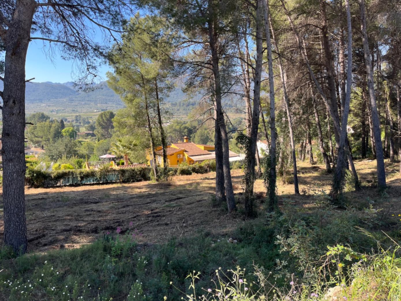 RE02-472016 plot zum verkauf in Alcalalí