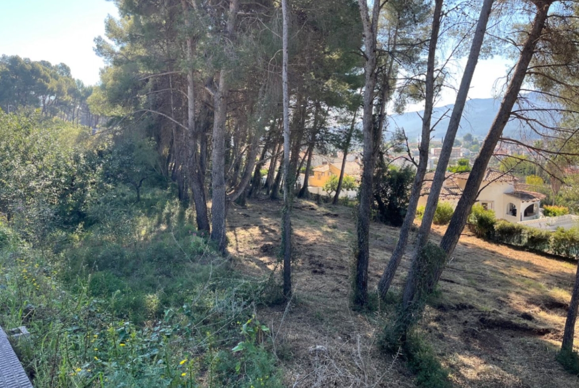 RE02-472016 plot zum verkauf in Alcalalí
