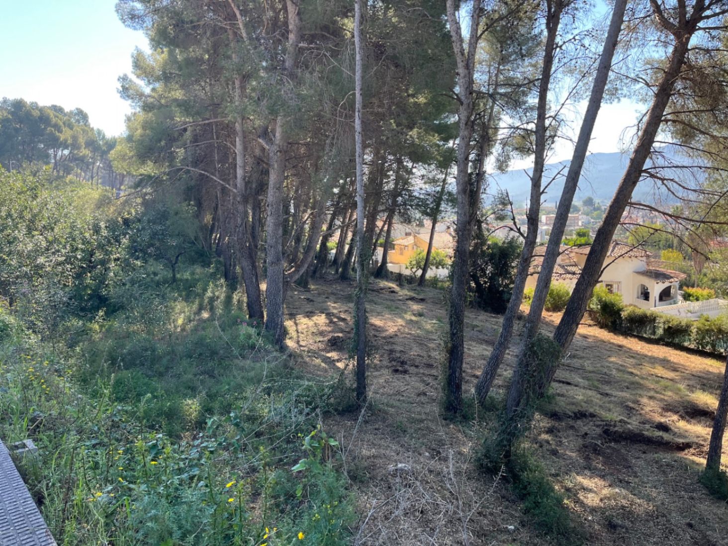 RE02-472016 plot zum verkauf in Alcalalí