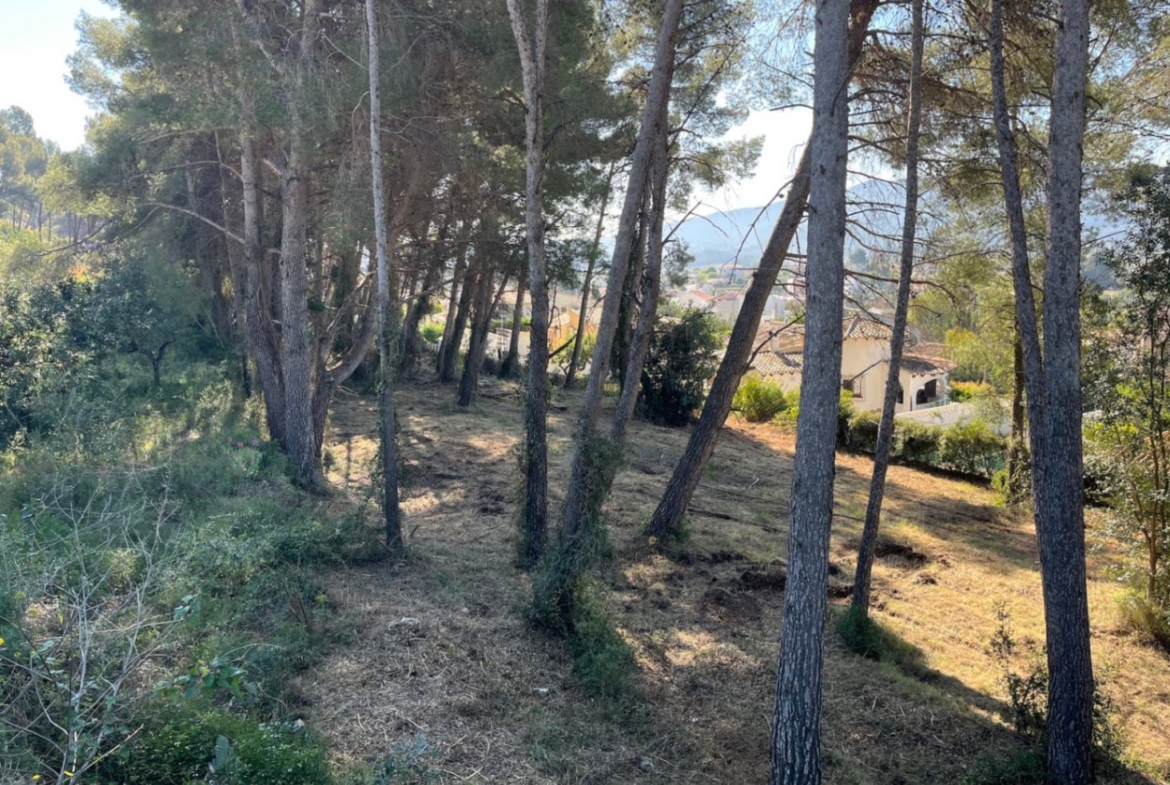 RE02-472016 plot zum verkauf in Alcalalí