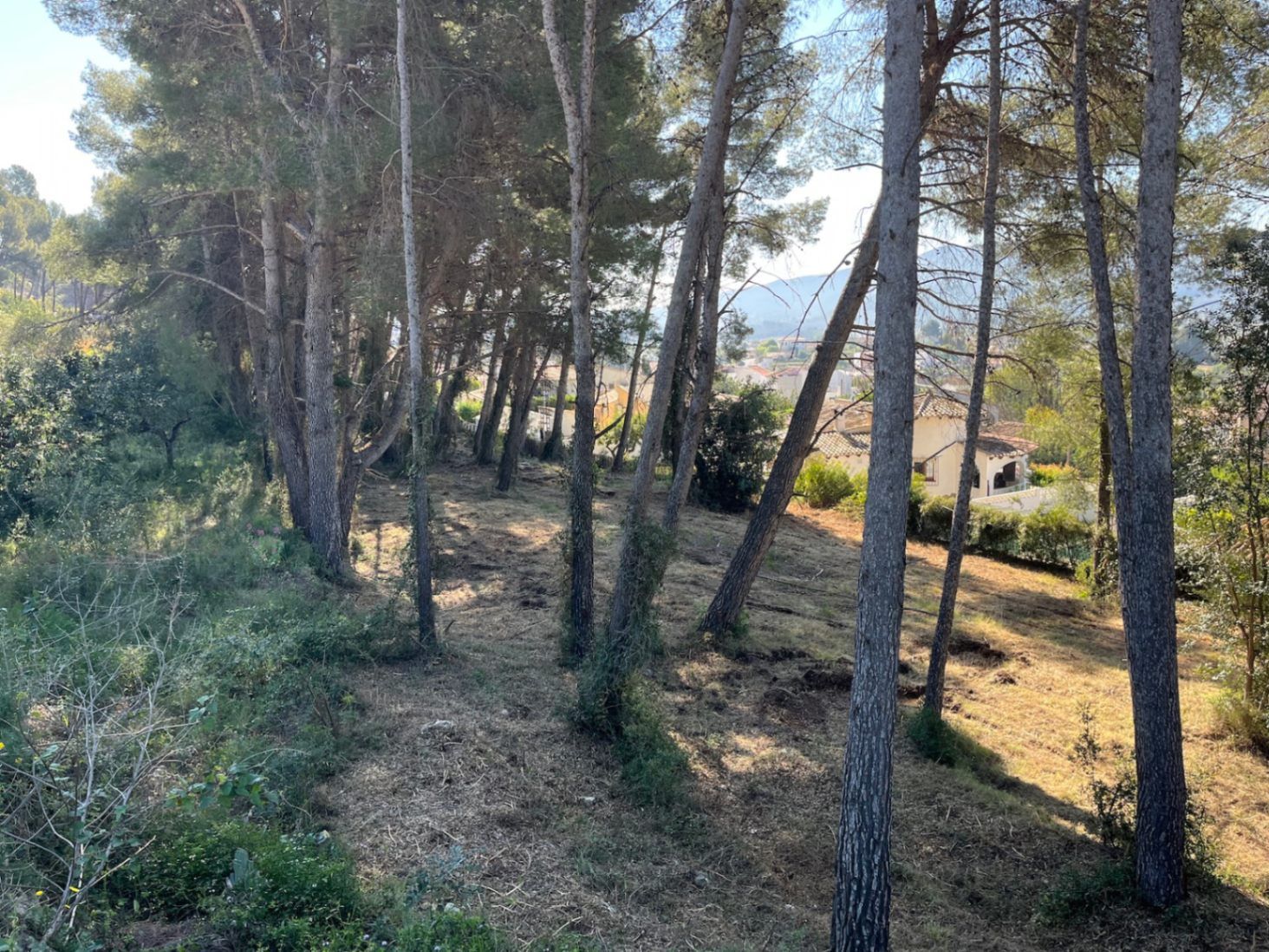 RE02-472016 plot zum verkauf in Alcalalí
