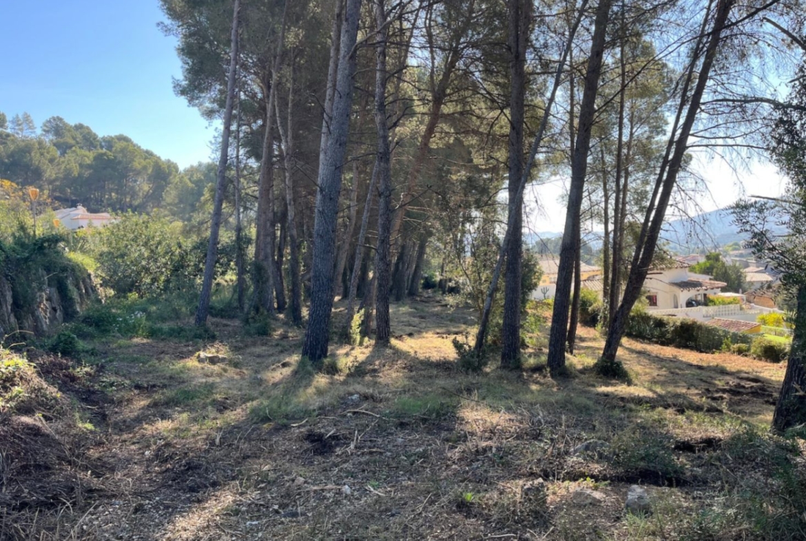 RE02-472016 plot zum verkauf in Alcalalí