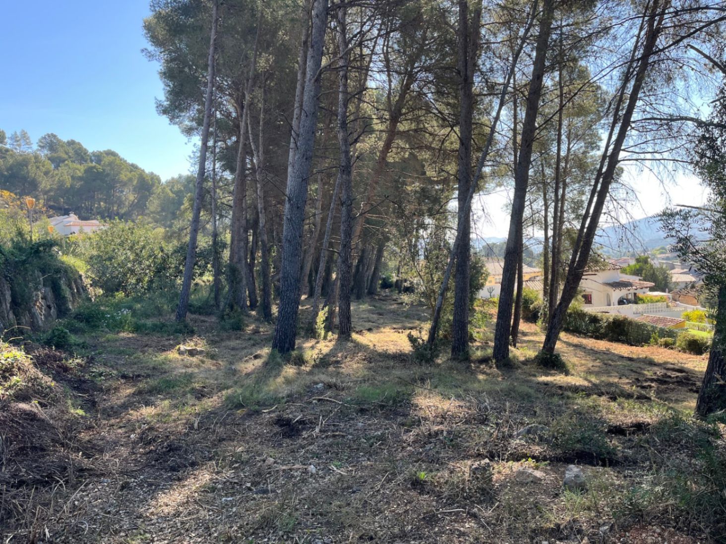 RE02-472016 plot zum verkauf in Alcalalí