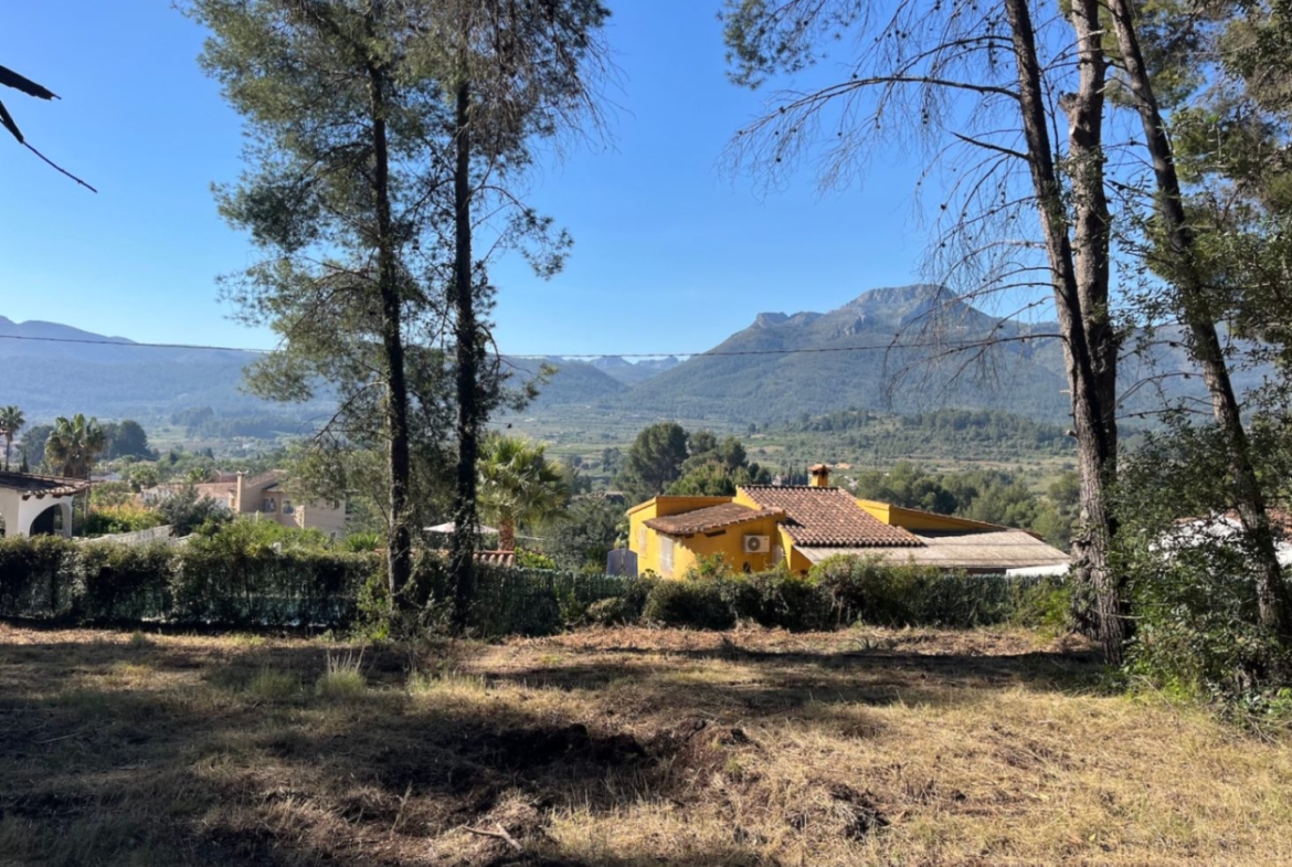 RE02-472016 plot zum verkauf in Alcalalí
