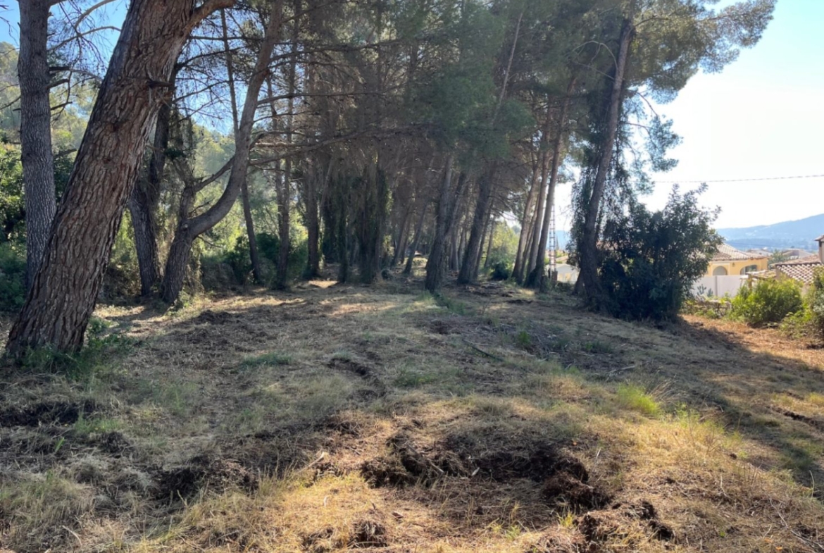 RE02-472016 plot zum verkauf in Alcalalí
