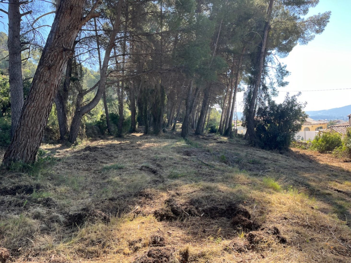 RE02-472016 plot zum verkauf in Alcalalí
