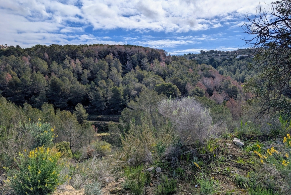 RE06-8ZDP1N Plot/Land zum verkauf in Benissa