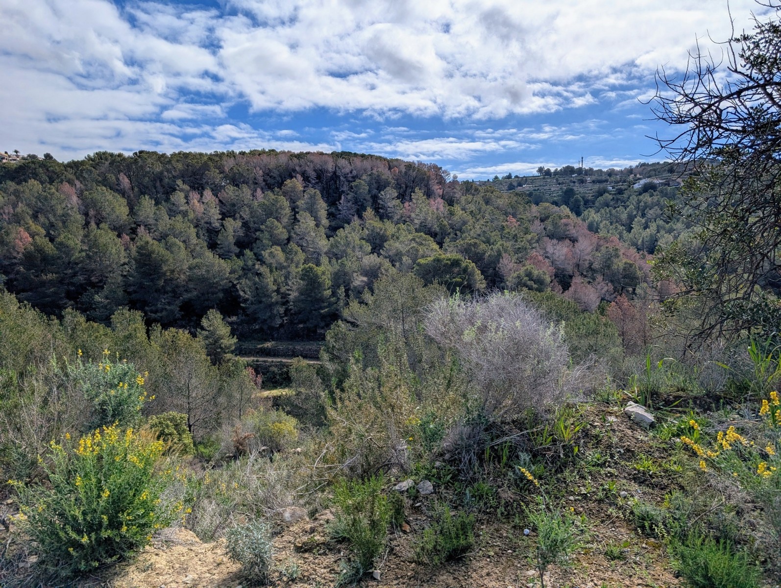 o_1in4dtskv10nt17or1gia1k4k1aqf2e RE06-8ZDP1N Plot/Land zum verkauf in Benissa