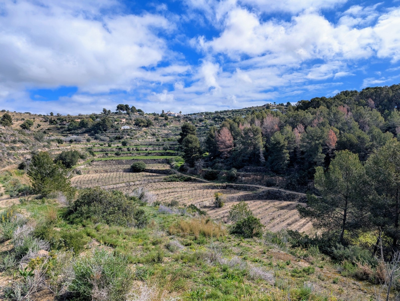 o_1in4dtskv11he18qpmji1fmigo92g RE06-8ZDP1N Plot/Land zum verkauf in Benissa