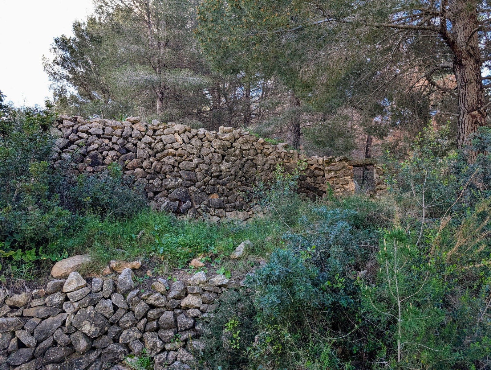 o_1in4dtskv13cg5q5dkh1moh1dnm2i RE06-8ZDP1N Plot/Land zum verkauf in Benissa