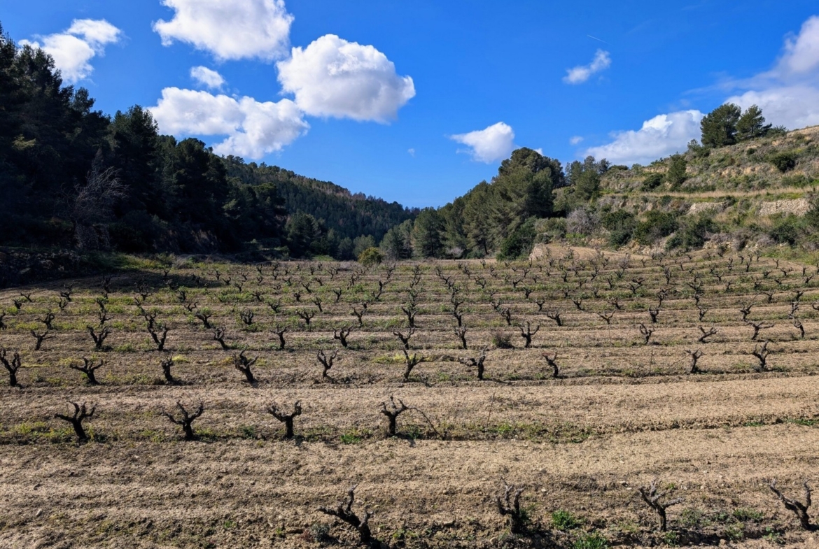 RE06-8ZDP1N Plot/Land zum verkauf in Benissa