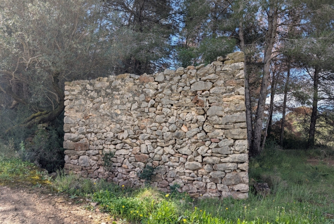 RE06-8ZDP1N Plot/Land zum verkauf in Benissa