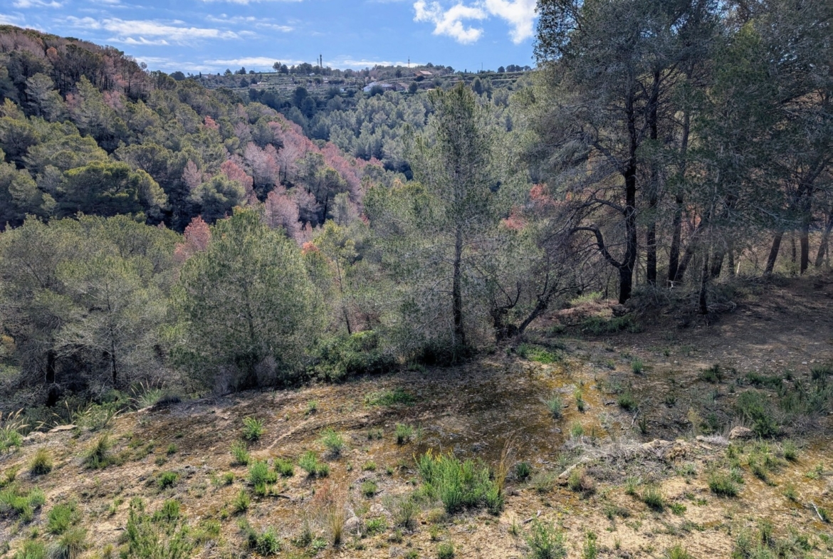 RE06-8ZDP1N Plot/Land zum verkauf in Benissa
