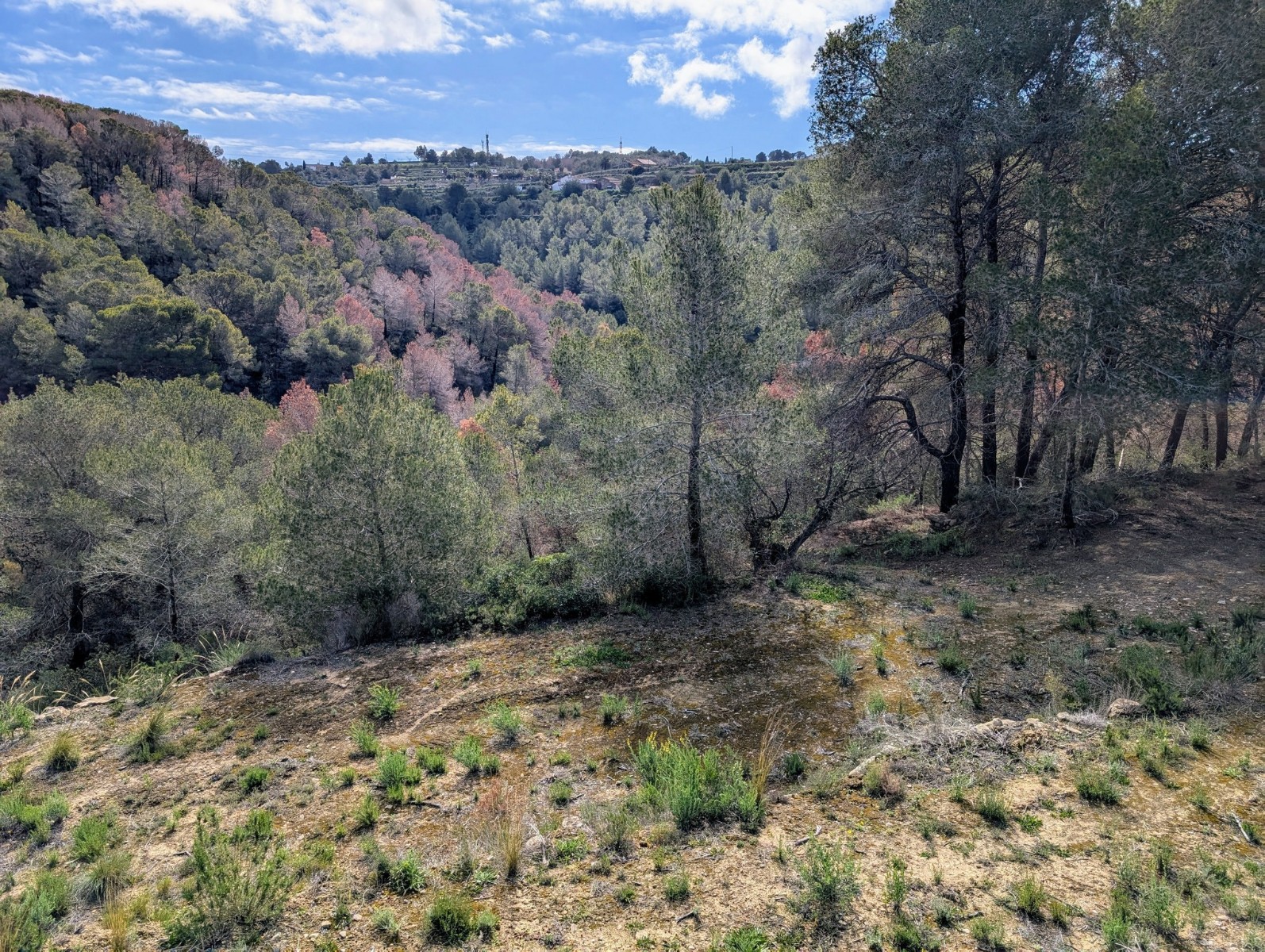 o_1in4dtskvkhsv96haifpqtlg2f RE06-8ZDP1N Plot/Land zum verkauf in Benissa