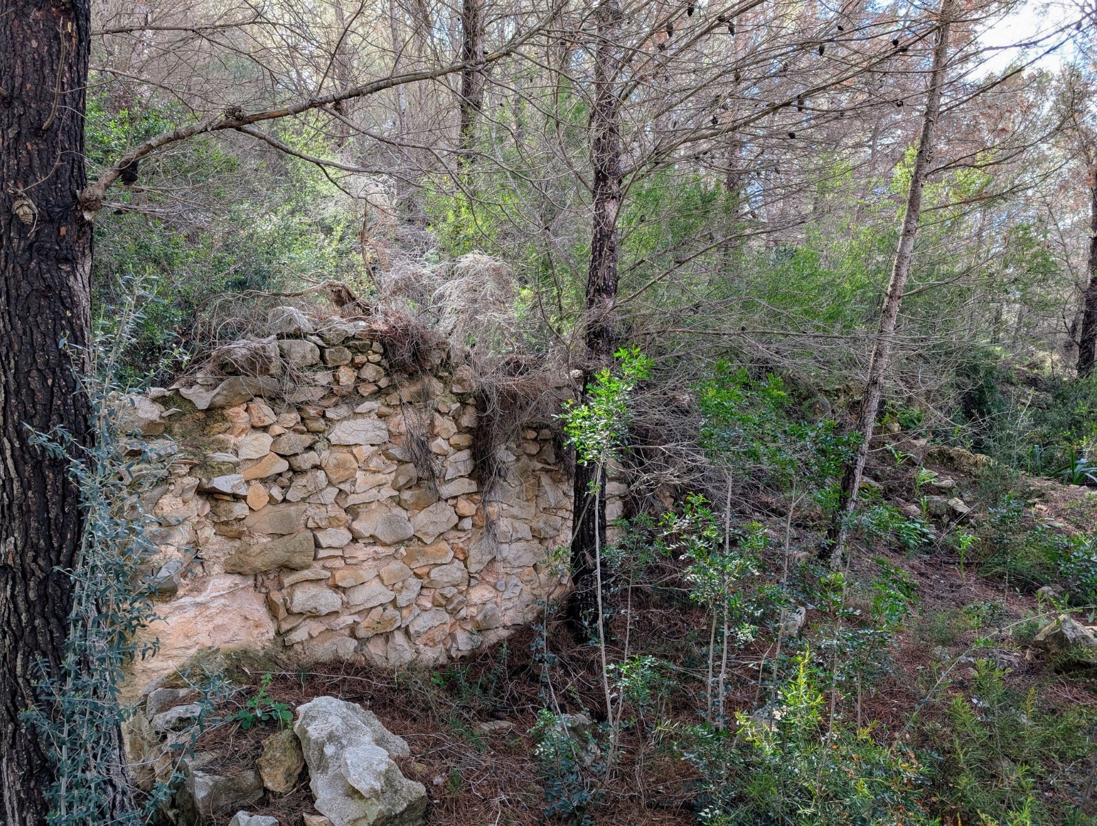 o_1in4dtskvvoqvs616hf30hgr92m RE06-8ZDP1N Plot/Land zum verkauf in Benissa