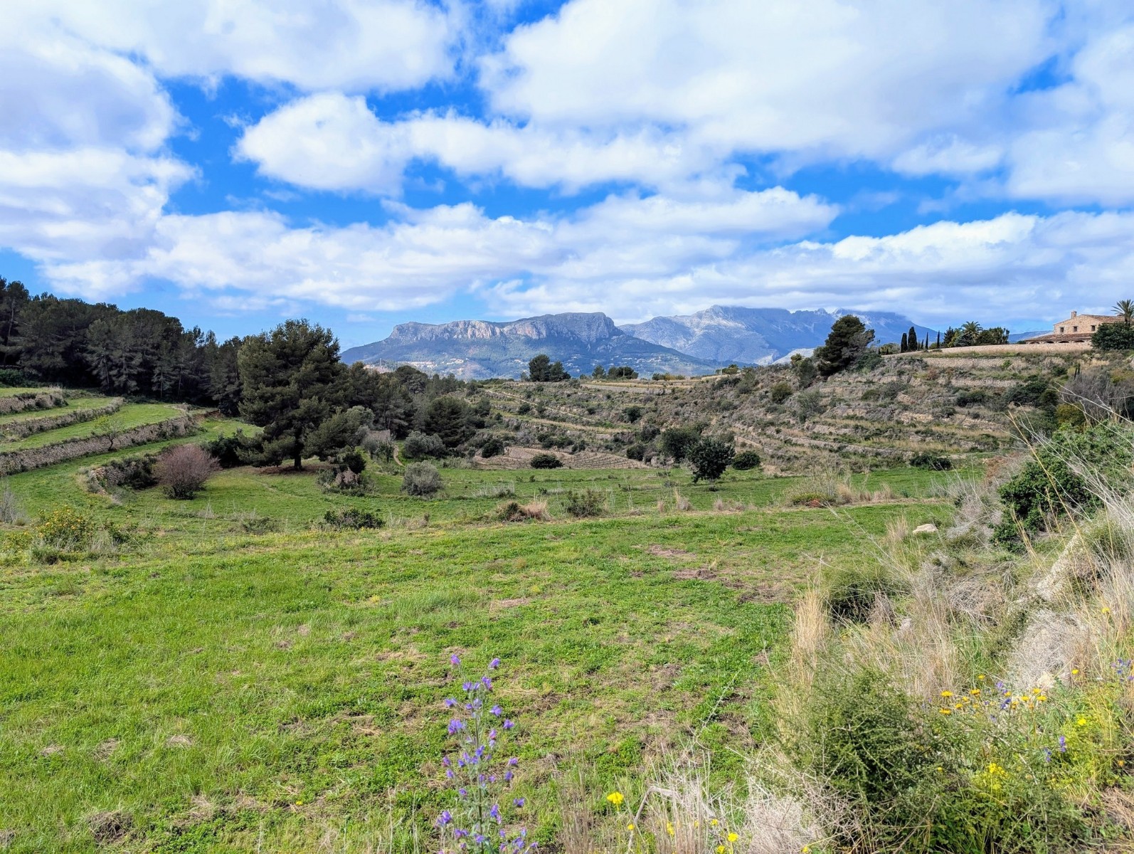 o_1in4dtsl0dmf18nbv748fkv9e2r RE06-8ZDP1N Plot/Land zum verkauf in Benissa